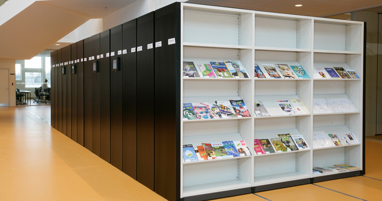 Library Shelving